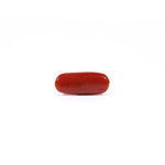 Red Coral - 2.65 Carat
