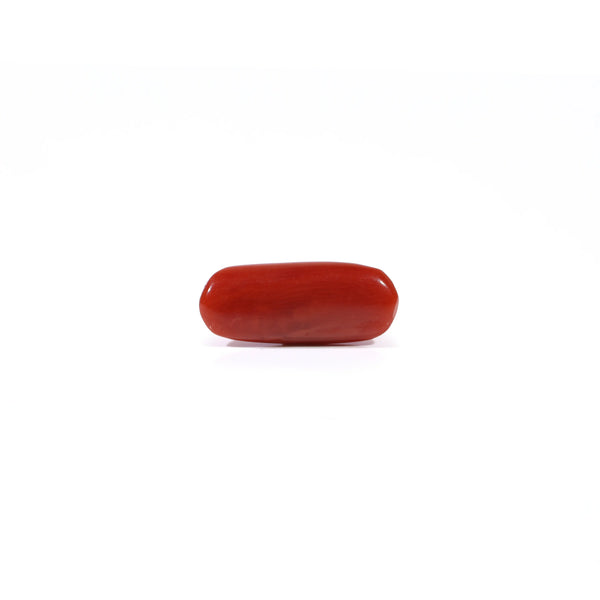 Red Coral - 2.65 Carat
