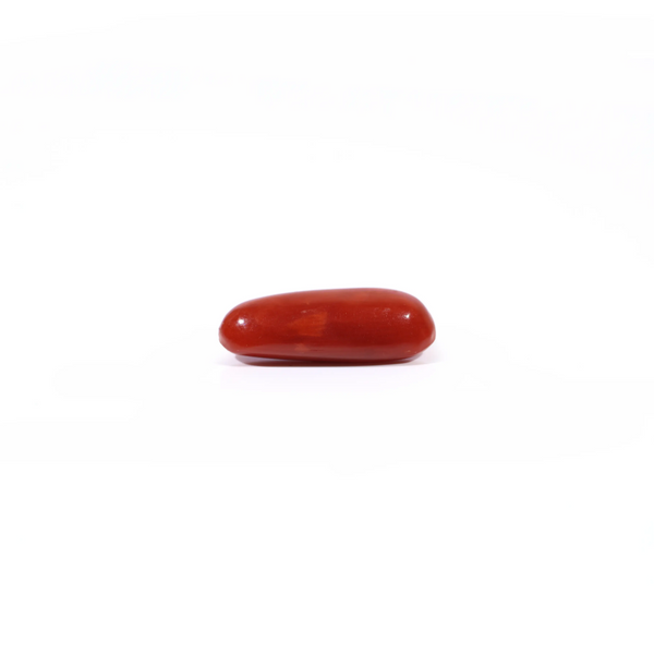 Red Coral - 2.65 Carat