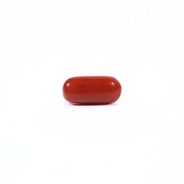 Red Coral - Moonga - 3 Carat - Pramogh