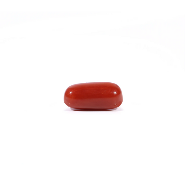 Red Coral - 3 Carat
