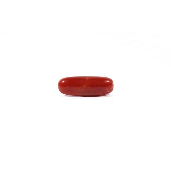 Red Coral - Moonga - 3.4 Carat - Pramogh