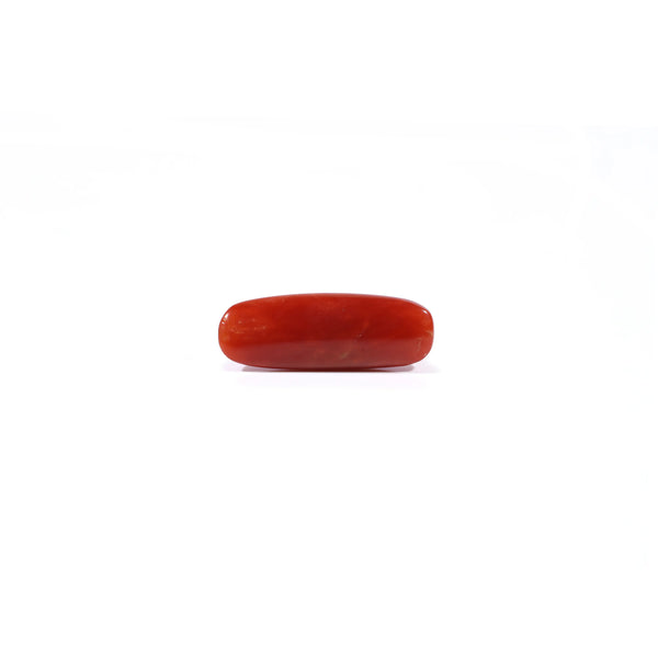Red Coral - 3.4 Carat