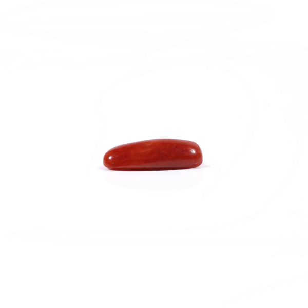 Red Coral - 3.4 Carat