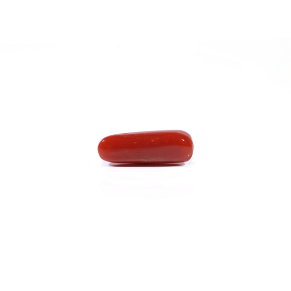 Red Coral - 3.29 Carat