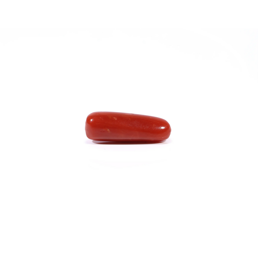 Red Coral - 3.29 Carat