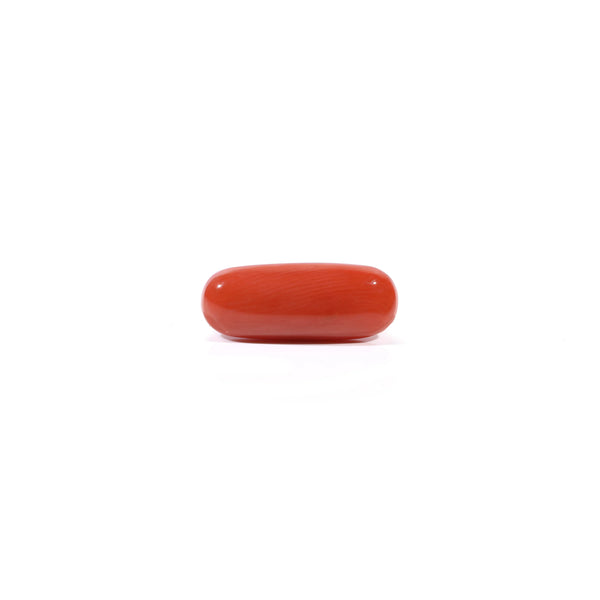 Red Coral - Moonga - 3.6 Carat - Pramogh