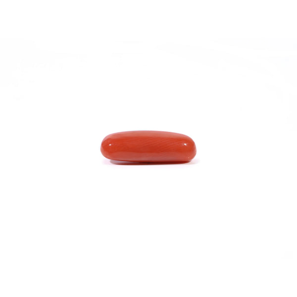 Red Coral - 3.6 Carat