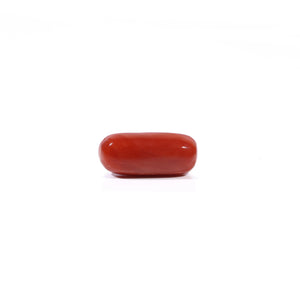Red Coral - Moonga - 2.88 Carat - Pramogh