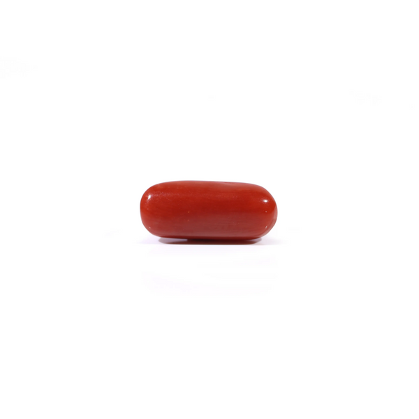 Red Coral - 2.88 Carat