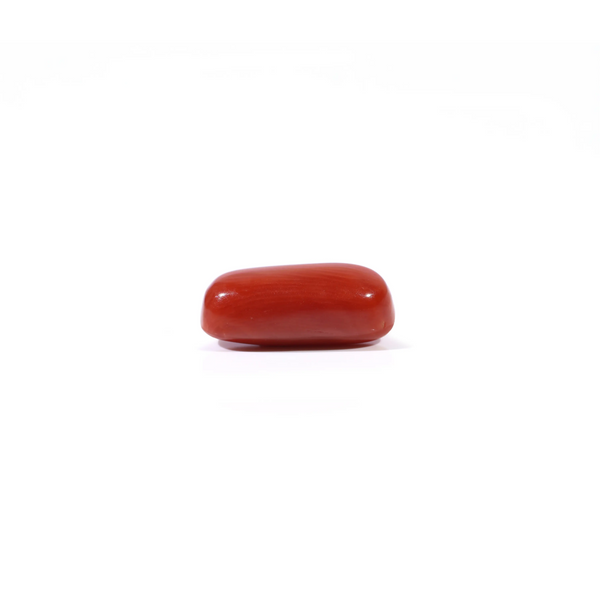 Red Coral - 2.88 Carat
