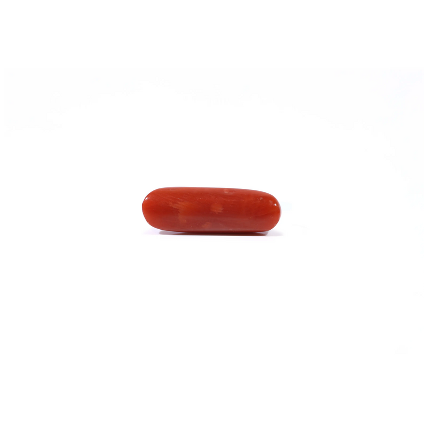 Red Coral - 3.7 Carat