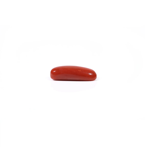 Red Coral - 3.7 Carat