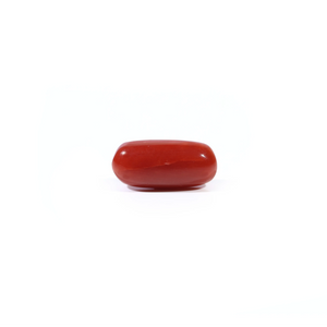 Red Coral - Moonga - 3 Carat - Pramogh