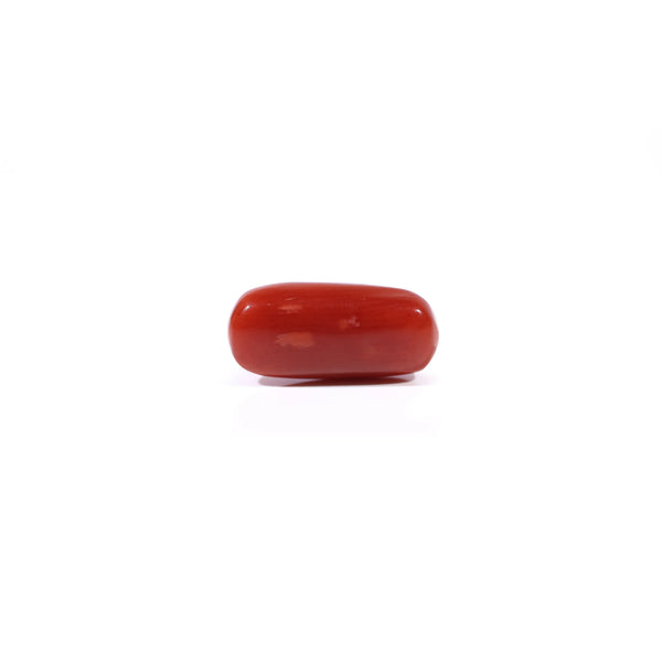 Red Coral - 3 Carat
