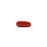 Red Coral - 3.45 Carat