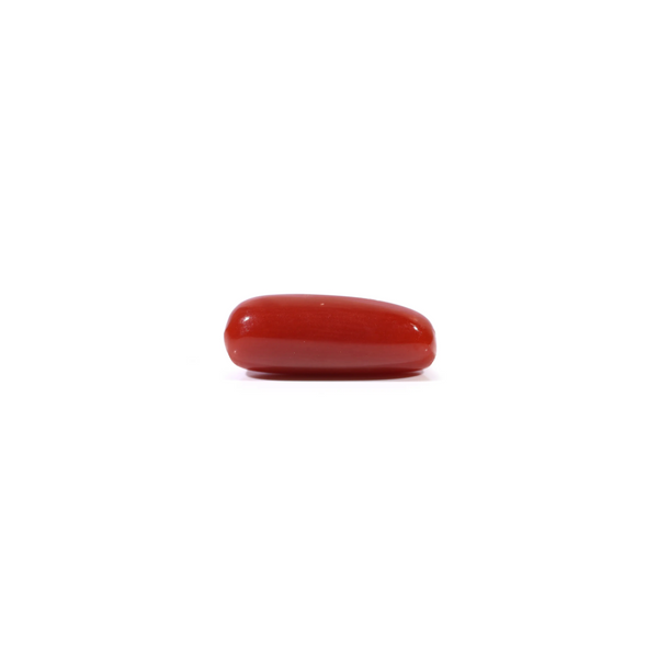Red Coral - 3.45 Carat