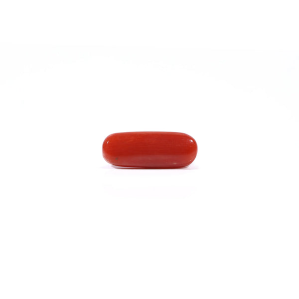 Red Coral - Moonga - 2.88 Carat - Pramogh