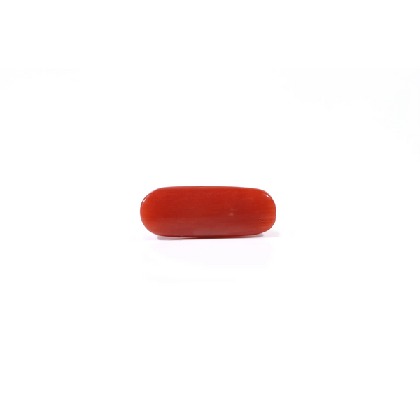 Red Coral - 2.88 Carat