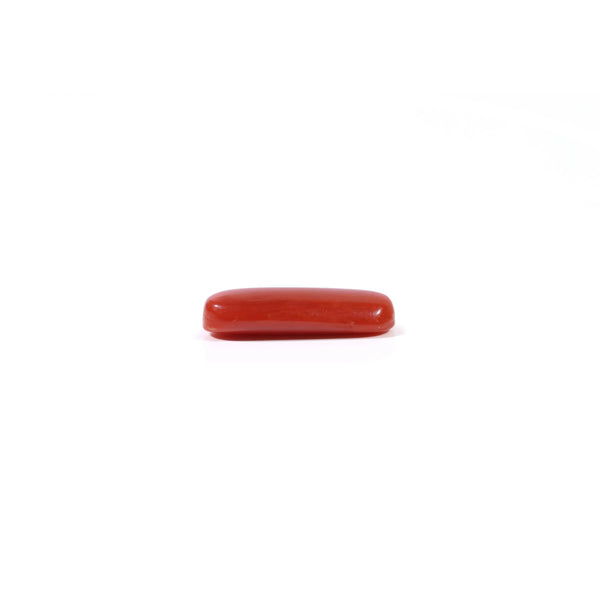 Red Coral - 2.88 Carat