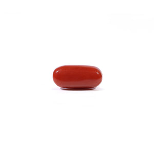 Red Coral - Moonga - 3.82 Carat - Pramogh
