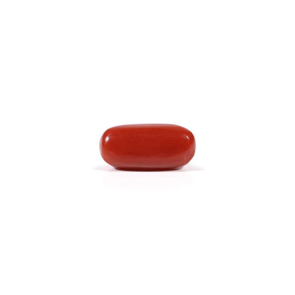 Red Coral - 3.82 Carat