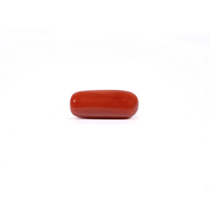 Red Coral - Moonga - 3.7 Carat - Pramogh
