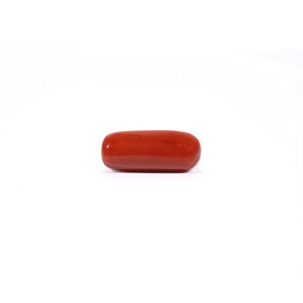Red Coral - Moonga - 3.7 Carat - Pramogh