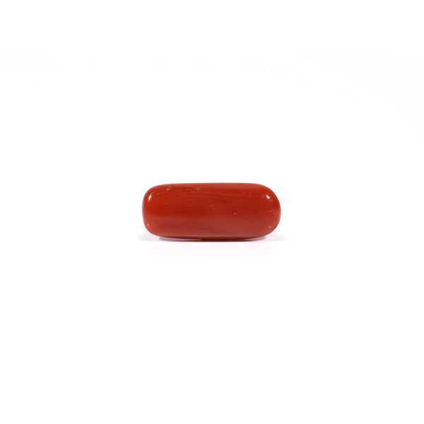 Red Coral - 3.7 Carat