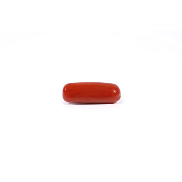Red Coral - 3.7 Carat