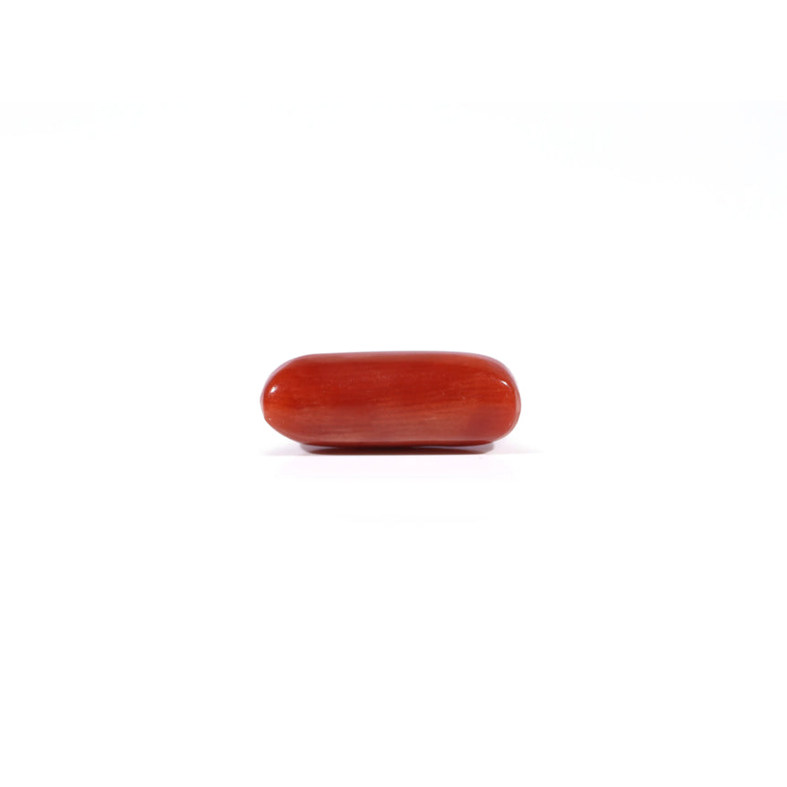 Red Coral - 3.74 Carat