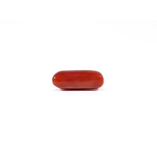 Red Coral - 3.74 Carat