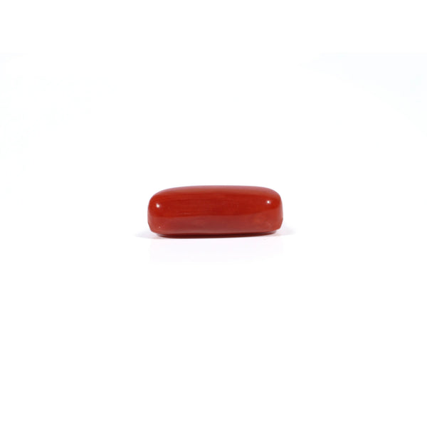 Red Coral - 3.74 Carat