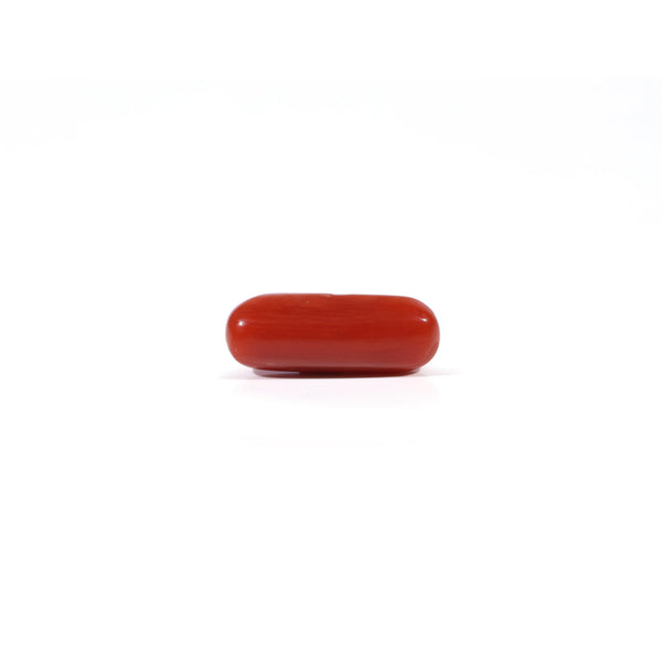 Red Coral - 3.7 Carat