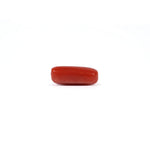 Red Coral - 3.7 Carat