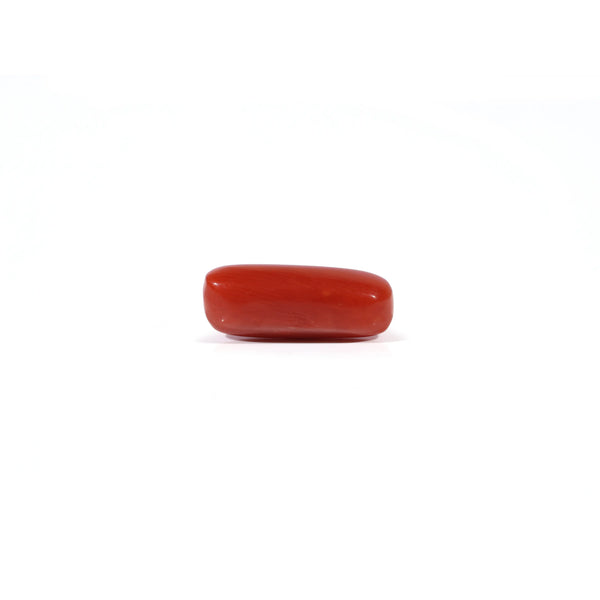 Red Coral - 3.7 Carat
