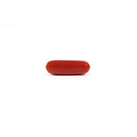Red Coral - 4.22 Carat