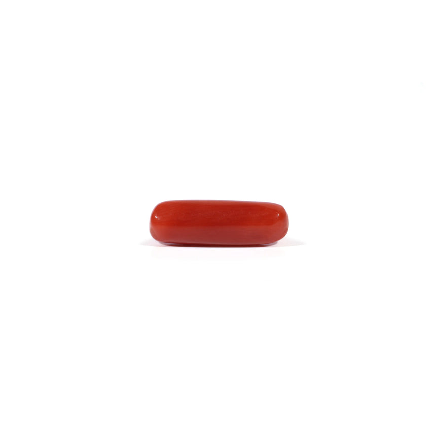 Red Coral - 4.22 Carat