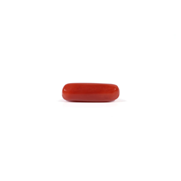 Red Coral - 4.22 Carat