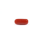 Red Coral - Moonga - 2.6 Carat - Pramogh