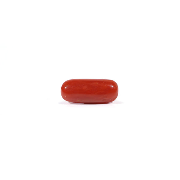 Red Coral - Moonga - 2.6 Carat - Pramogh