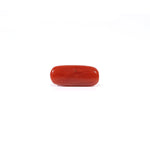 Red Coral - 2.6 Carat