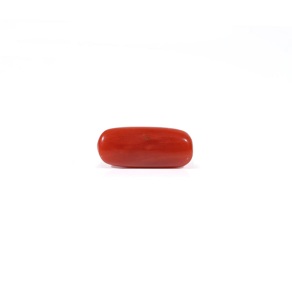 Red Coral - 2.6 Carat
