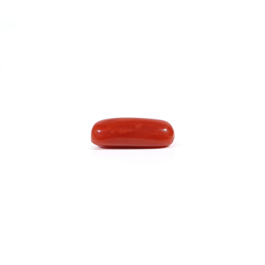 Red Coral - 2.6 Carat