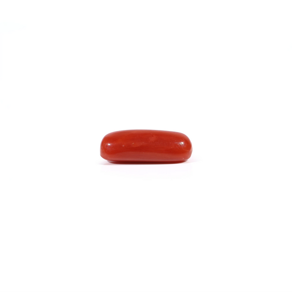 Red Coral - 2.6 Carat
