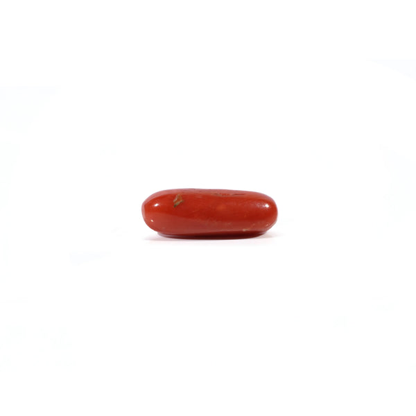 Red Coral - Moonga - 3.6 Carat - Pramogh