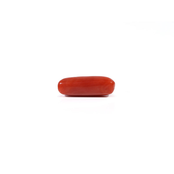 Red Coral - 3.6 Carat