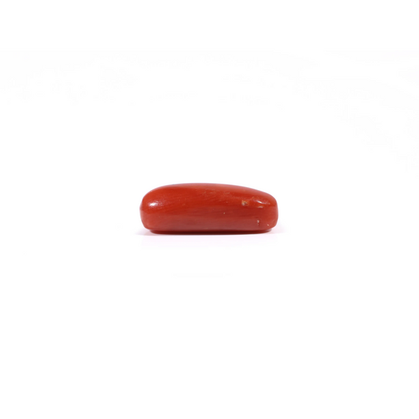 Red Coral - 3.6 Carat
