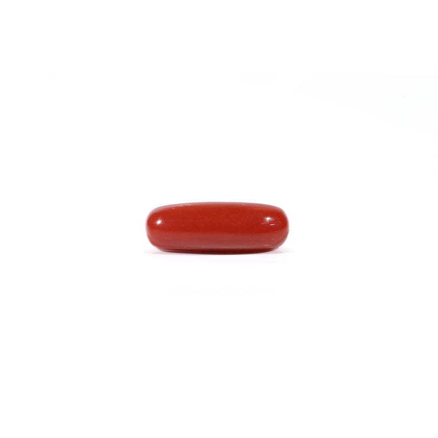 Red Coral - Moonga - 4.2 Carat - Pramogh