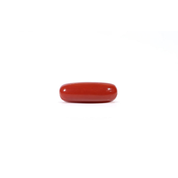 Red Coral - Moonga - 4.2 Carat - Pramogh